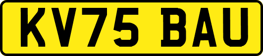 KV75BAU