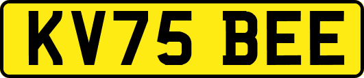 KV75BEE