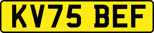 KV75BEF