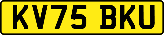 KV75BKU