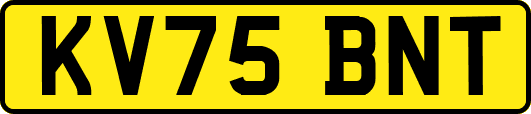 KV75BNT