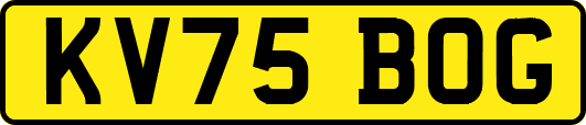KV75BOG