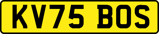 KV75BOS