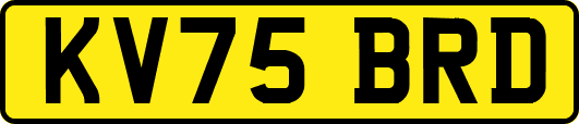 KV75BRD