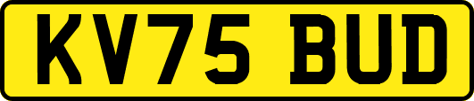 KV75BUD