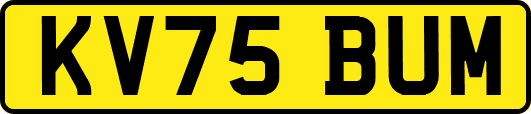 KV75BUM