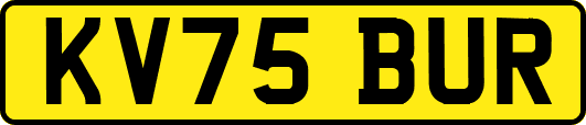 KV75BUR