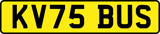 KV75BUS