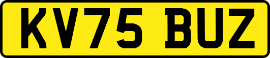 KV75BUZ