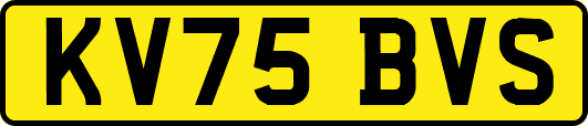 KV75BVS