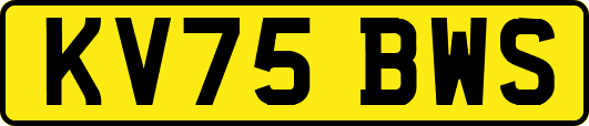 KV75BWS