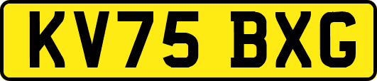 KV75BXG