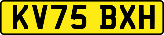 KV75BXH