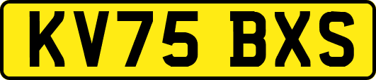 KV75BXS