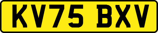 KV75BXV