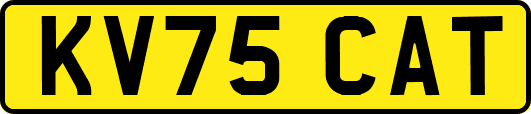KV75CAT