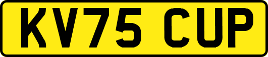 KV75CUP