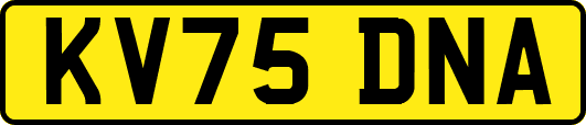 KV75DNA