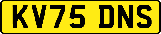 KV75DNS