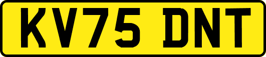 KV75DNT