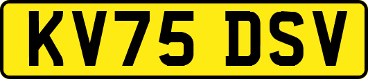 KV75DSV