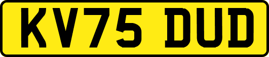 KV75DUD