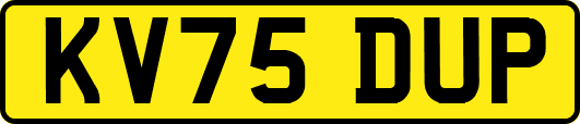KV75DUP
