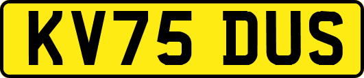KV75DUS