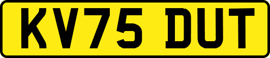 KV75DUT