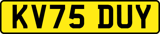 KV75DUY