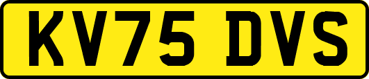 KV75DVS
