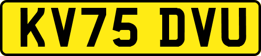 KV75DVU