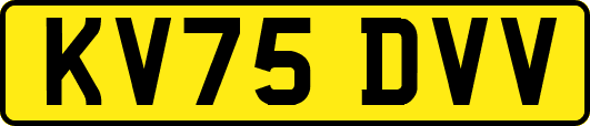 KV75DVV