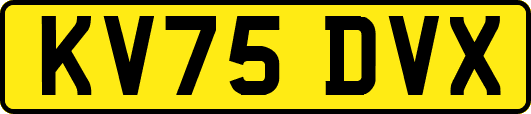 KV75DVX