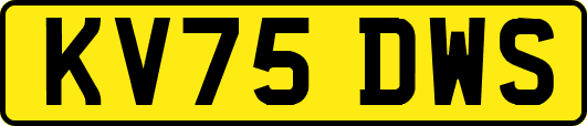 KV75DWS