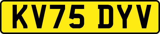 KV75DYV