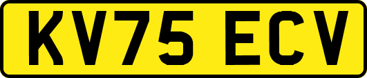 KV75ECV