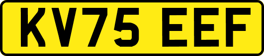 KV75EEF