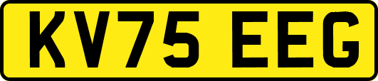 KV75EEG