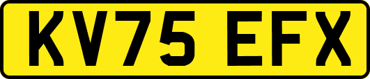 KV75EFX