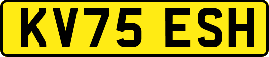 KV75ESH