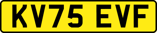 KV75EVF