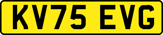 KV75EVG