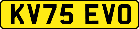 KV75EVO