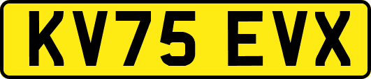 KV75EVX