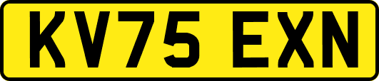KV75EXN