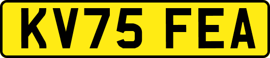 KV75FEA