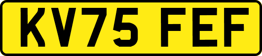 KV75FEF