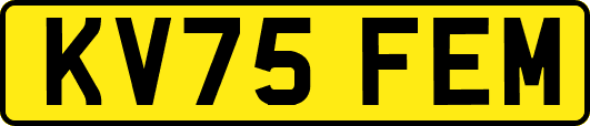 KV75FEM