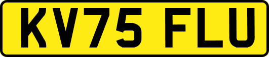 KV75FLU
